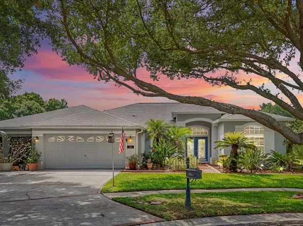 4627 River Close Blvd, Valrico, FL 33596