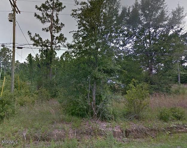 2nd image of 10309 Paige Bayou Rd