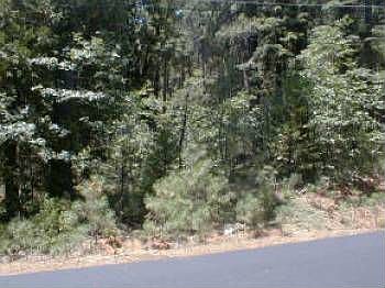 2nd image of 498 Blue Lake Springs Dr