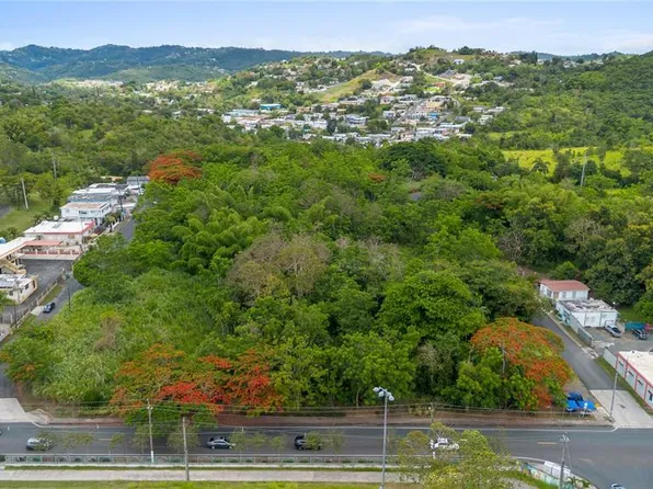 Carr 14 Km #71.2, Cayey, PR 00737