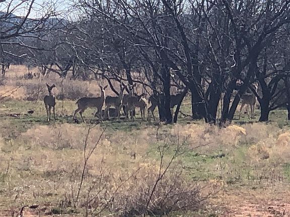 5th image of Bacacita Farms Rd