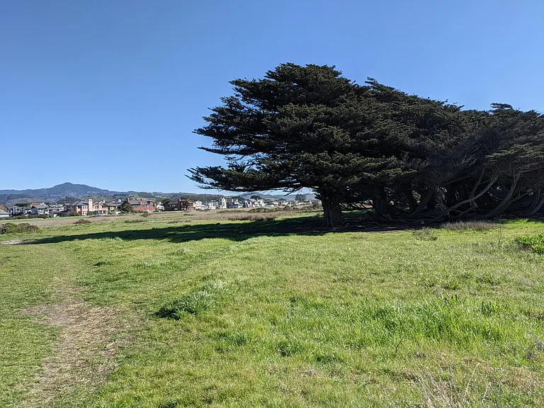 416 Valdez Ave — Photo 35