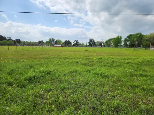 LOT 2 County Road 4202, Chandler, TX 75758