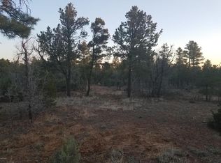 6650 Bandido Way, Show Low, AZ 85901