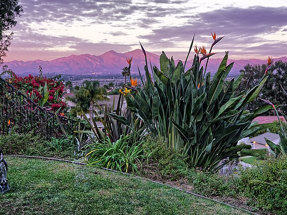 Alpenglo to Northeast