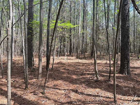 4th image of LOT 7 Thompson Rd