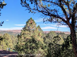 117 San Juan Rd, Ruidoso, NM 88345
