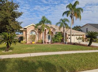 10212 Tarragon Dr, Riverview, FL 33569
