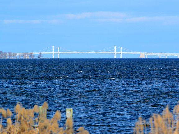 Enlarged views front yard