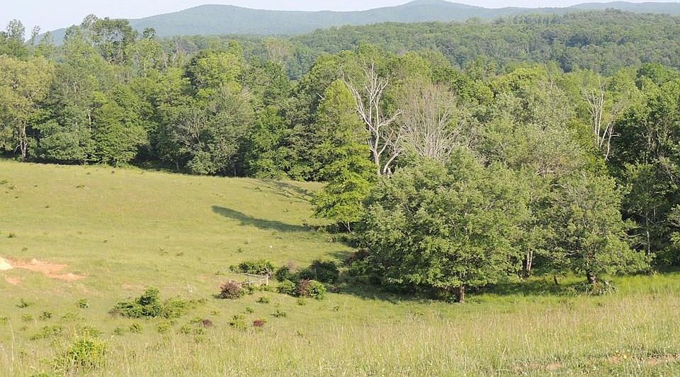 Tbd Marthas Knob, Galax, VA 24333 Zillow