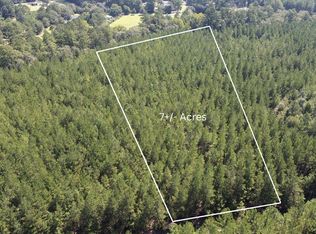 7 Red Oak Rd, Cottageville, SC 29435