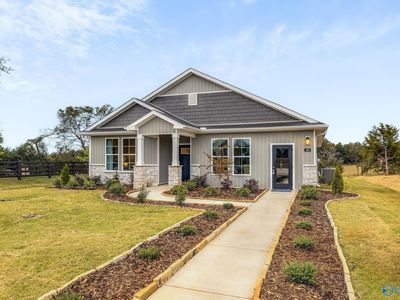 111 Starview Ct, Harvest, AL, 35749