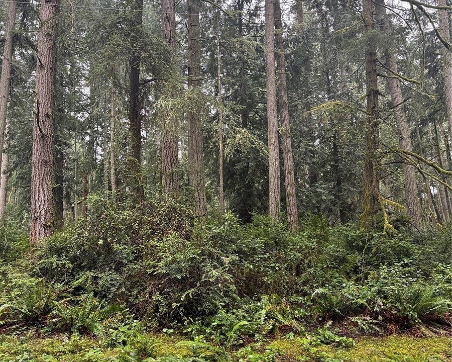 1st image of 12708 Lovass Road