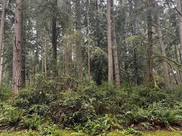 12708 Lovass Road, Anderson Island, WA 98303