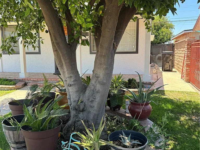 8739 Tyrone Ave — Photo 43