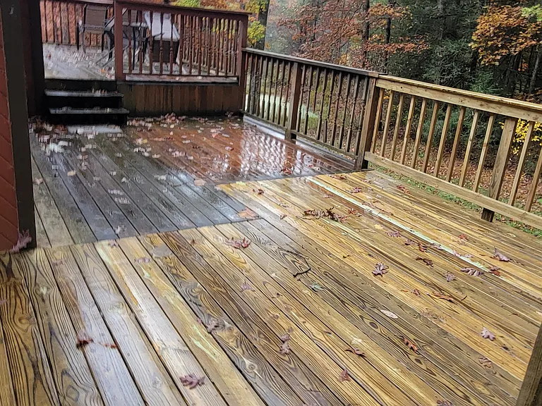 278 Forest Rd — Photo 34