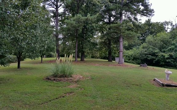 Beautiful Front Yard