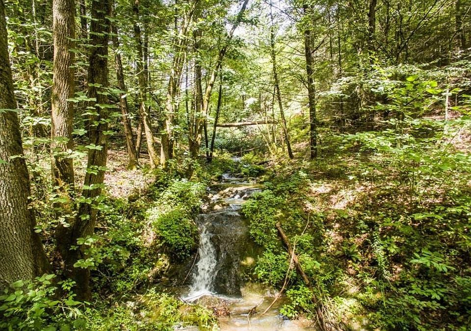 1st image of 0 Oldham Creek Rd