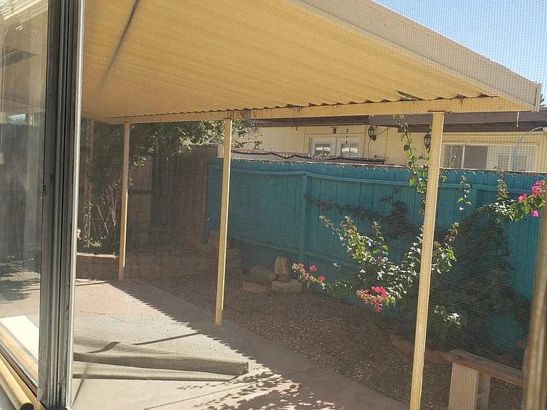 rear yard