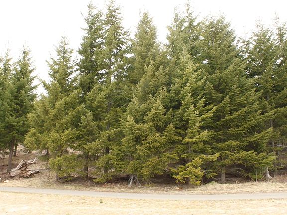 Looking at Lot 2-20 from Lake Ann.