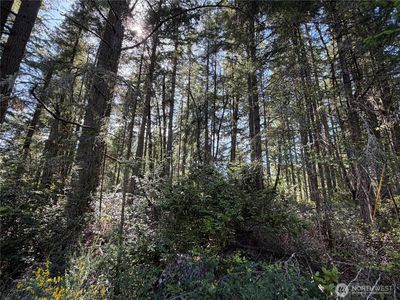 10506 Tahoma Drive, Anderson Island, WA, 98303