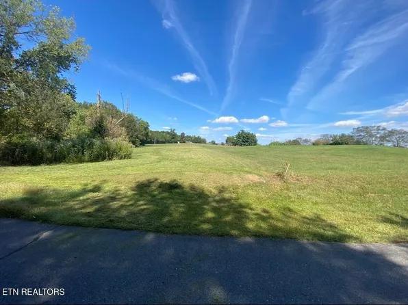 Mountain View Ln, Baneberry, TN 37890