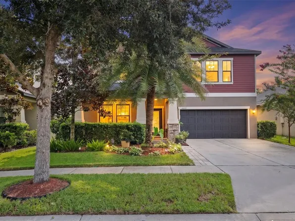 14242 BLUE DASHER DRIVE, RIVERVIEW, FL 33569