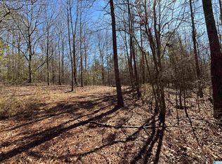 1360 McKesie St, Riverside, AL 35135