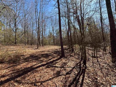 1360 McKesie St, Riverside, AL, 35135