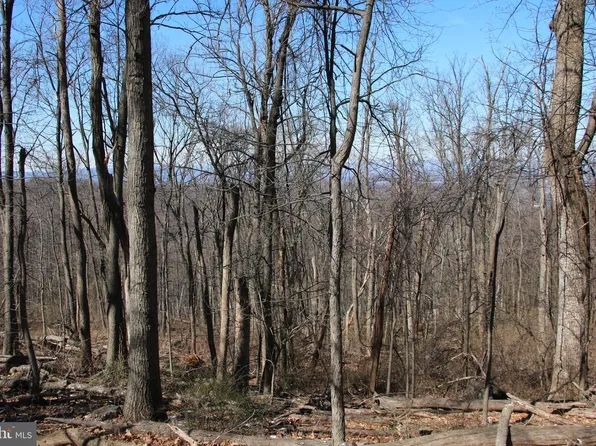 Windy Way, Front Royal, VA 22630