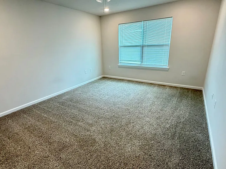 250 Boggy Creek Way — Photo 24