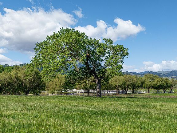 5th image of 0 White Oak Rd