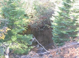 6 5th Acres, Newberry, MI 49868