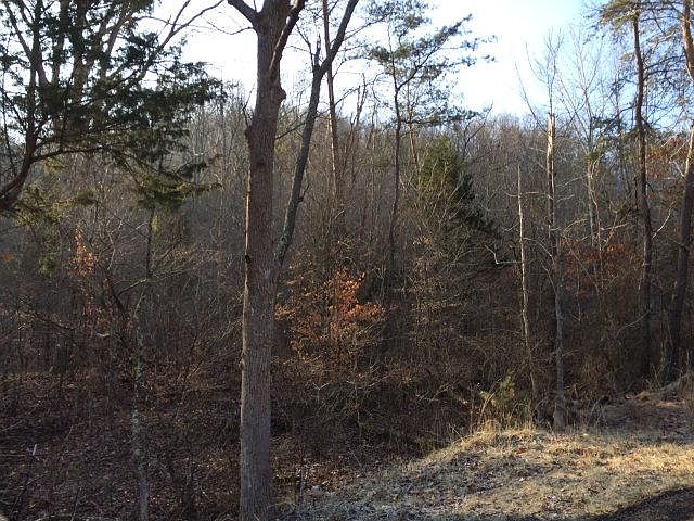 2nd image of 1808 Red Lick Rd