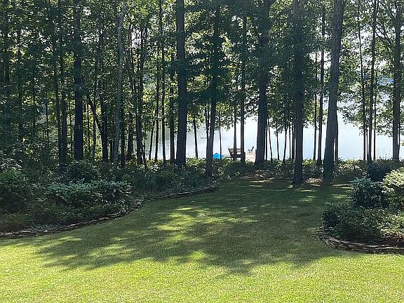 Backyard.