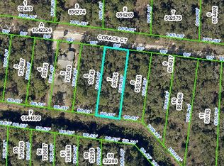 34180 Corace Ct, Webster, FL 33597