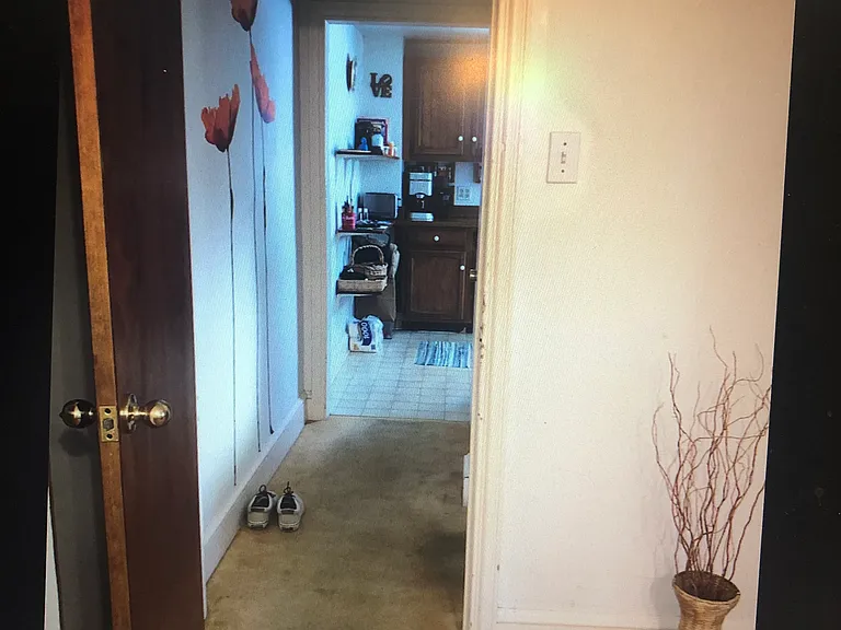 52 Ruthland Ave #B — Photo 8