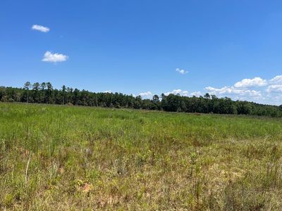 2 E County Road 22, Columbia, AL, 36319