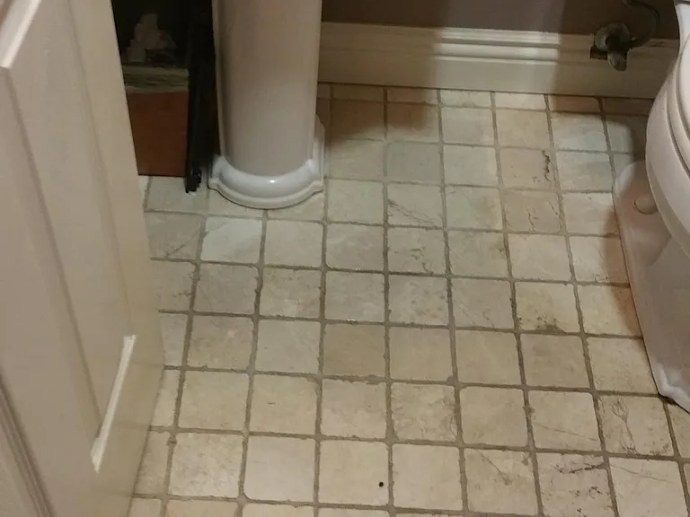 7106 Pelican St — Photo 39