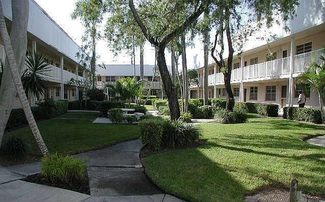 Lovely Florida Foliage In Your Courtyard