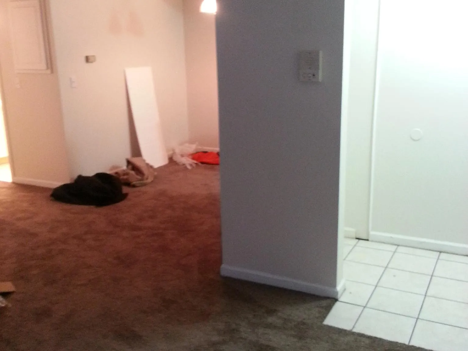 1 bed, 772 sqft, $995 — Photo 4