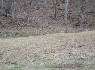 1927 Stevens Creek Rd, Waynesville, NC 28785