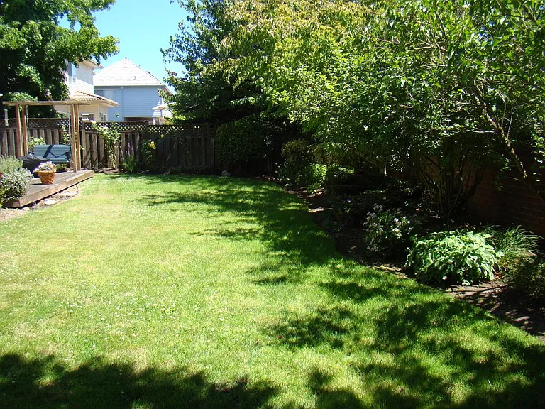 Backyard 2