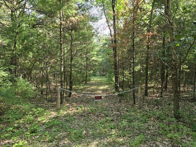 Vl E Michland Path, White Cloud, MI, 49349
