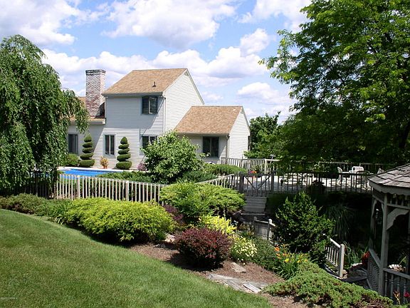 View from the backyard