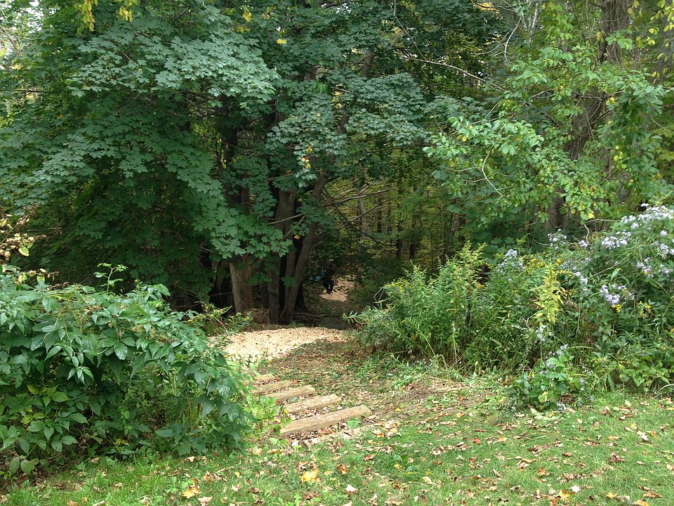 Back Yard: Trail to 66 Acres