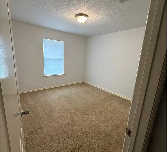 375 Primrose Way — Photo 8