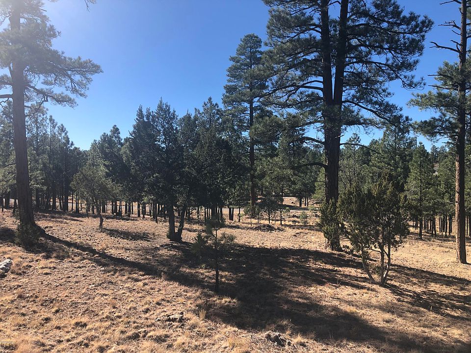 2nd image of 2538 Katies Way Lot 46