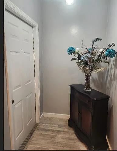 2011 Madeira Dr — Photo 2