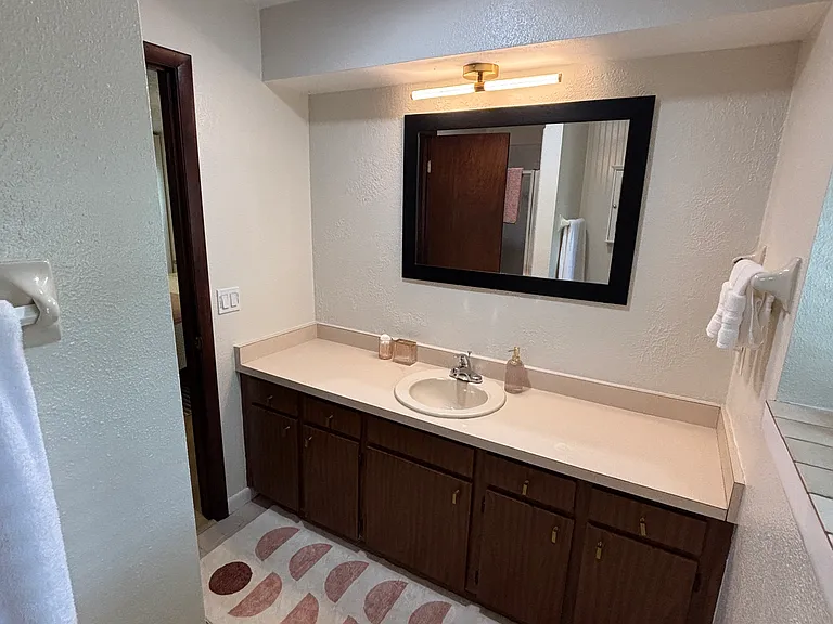 Master bath vanity.